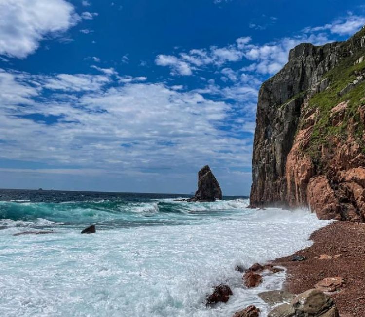 Гастротур на островах и морские тюлени - прогулка на катере